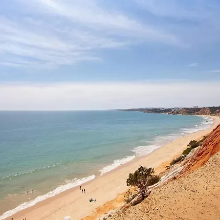 Jade By Sunnyway Daire